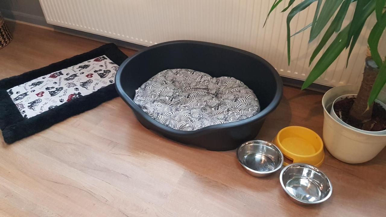 Nature, Charme, Confort, Avec Netflix Et Ps4 Lutzelbourg Dış mekan fotoğraf